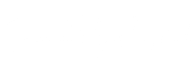 David_logo
